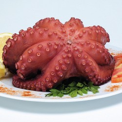 PULPO COCIDO ENTERO / RODAJAS